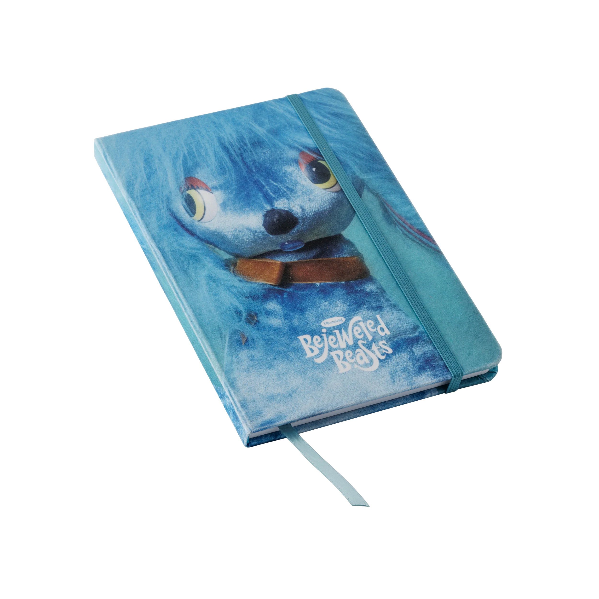 The Hi I'm Frosty Journal | Blue